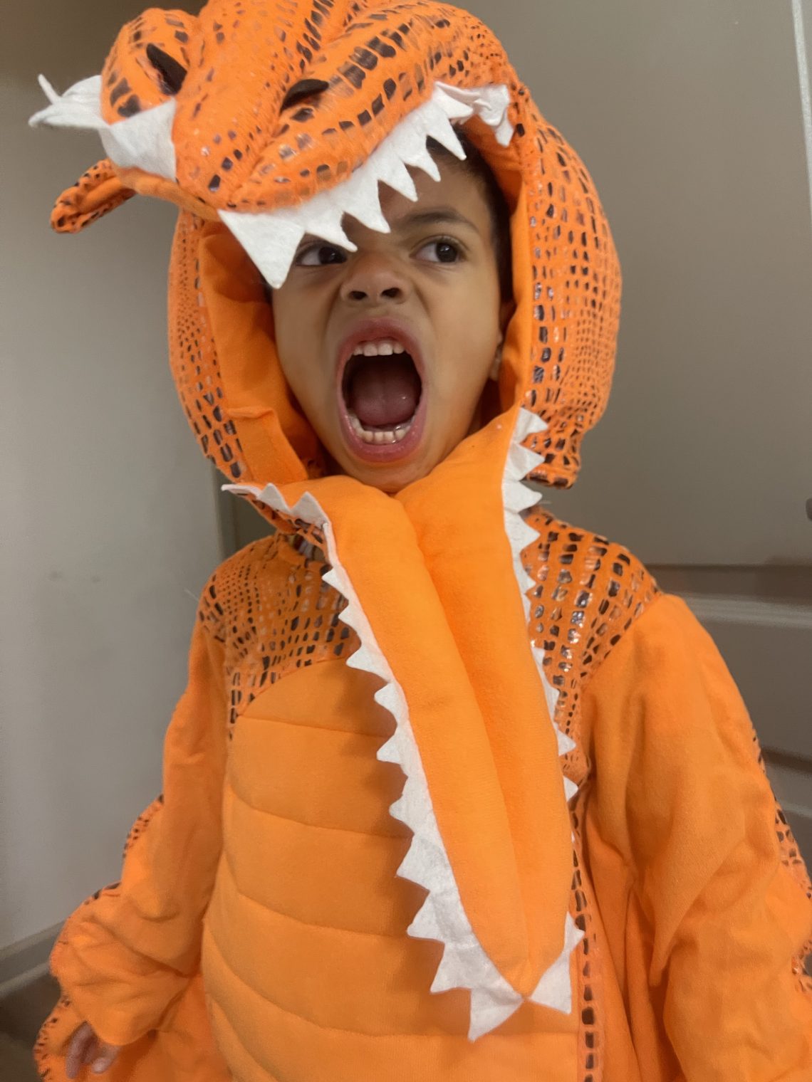 Boy wearing a dinosaur costume, standing with a playful roar pose