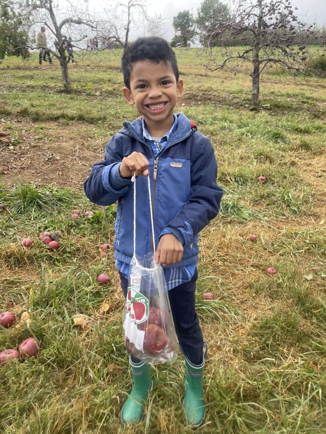 small child with a bag full of apples