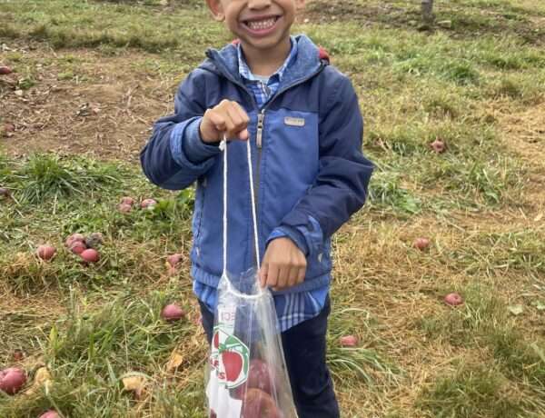 small child with a bag full of apples